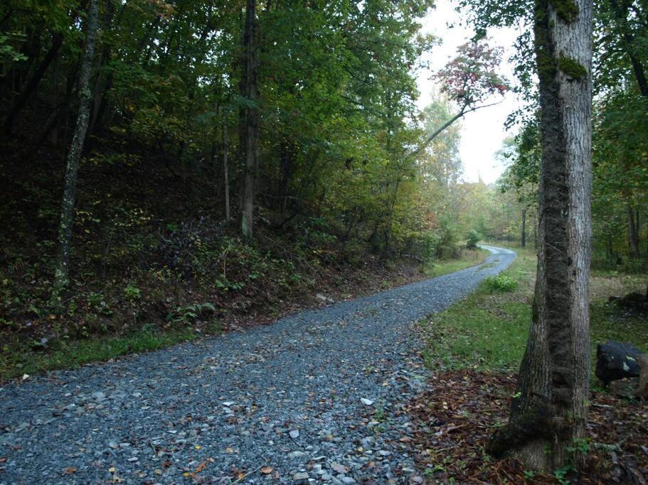Our Private Wooded Cabin Chatham エクステリア 写真