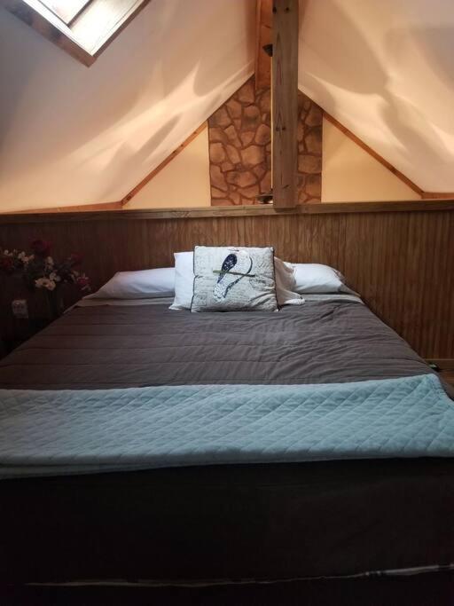 Our Private Wooded Cabin Chatham エクステリア 写真